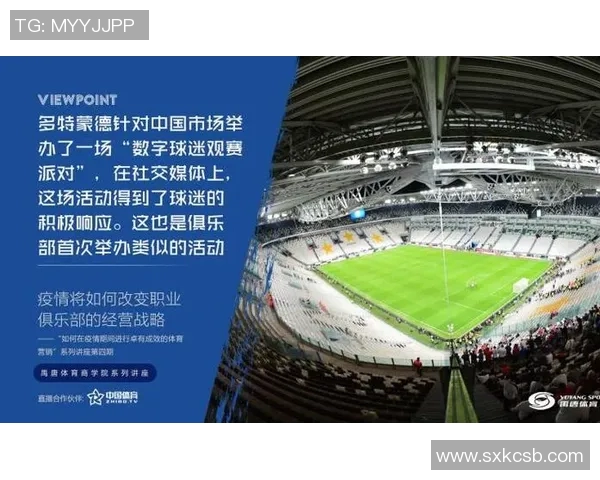 球迷文化的多元化演变与全球体育产业的互动发展 球迷文化的多元化演变与全球体育产业的互动发展